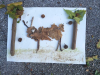 IMG-1f9d9dc537b09bb2e1efd16c9612b287-V